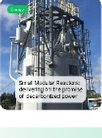 Small Modular Reactors: delivering on the promise of decarbonized power