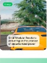 Small Modular Reactors: delivering on the promise of decarbonized power