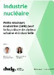 Nuclear industry: Small Modular Reactors (SMRs) for urban and industrial heat supply