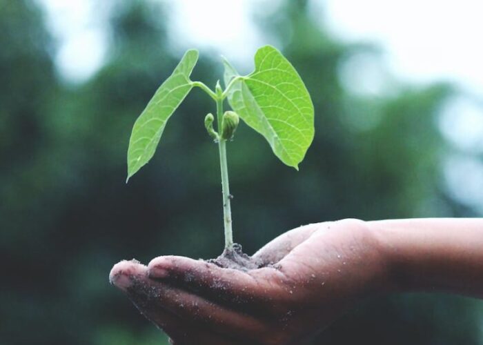 Europe is once again leading the way in sustainability with the CSRD