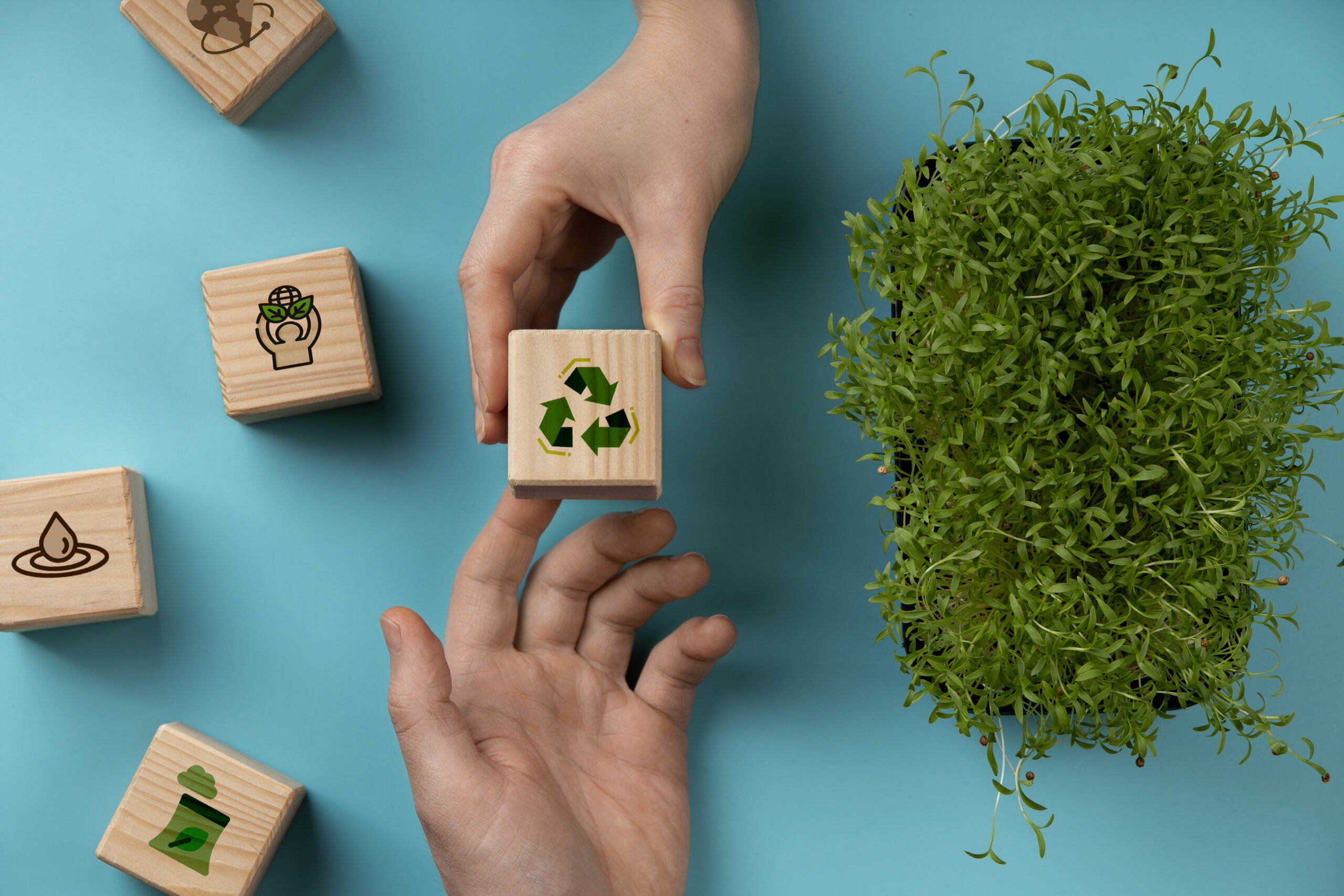 Environment & sustainability